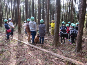 2018 木こりツアー　静岡県産材を使った地産地消・環境にやさしい家づくり